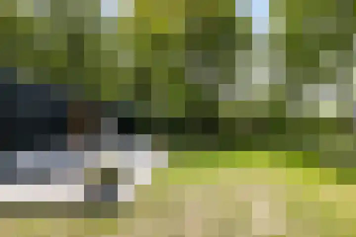 Klepperstee - Grote Stern 21 Ouddorp thumbnail 25