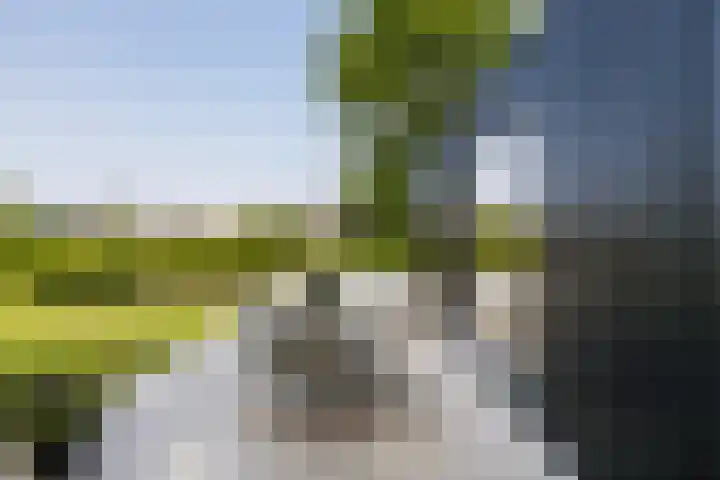 Klepperstee - Grote Stern 21 Ouddorp thumbnail 26