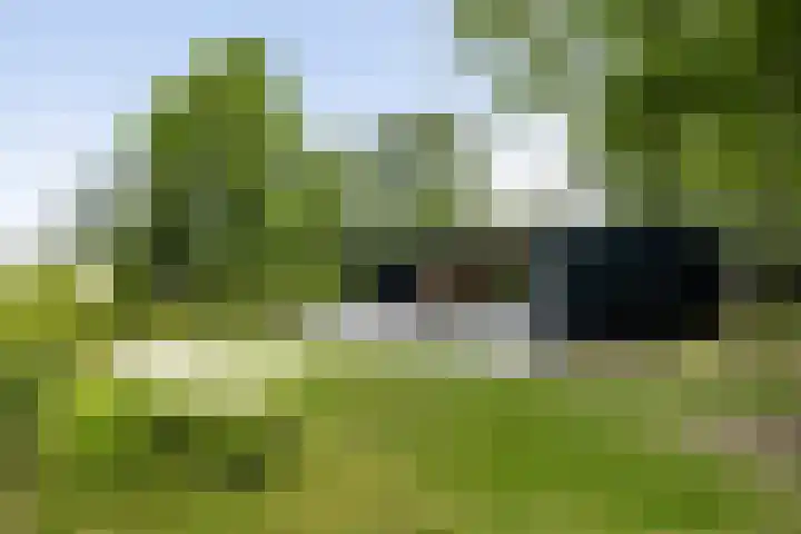 Klepperstee - Grote Stern 21 Ouddorp thumbnail 27
