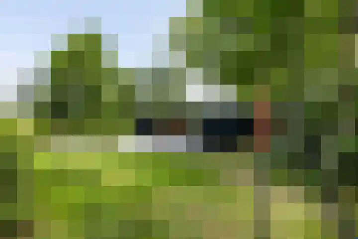 Klepperstee - Grote Stern 21 Ouddorp thumbnail 28