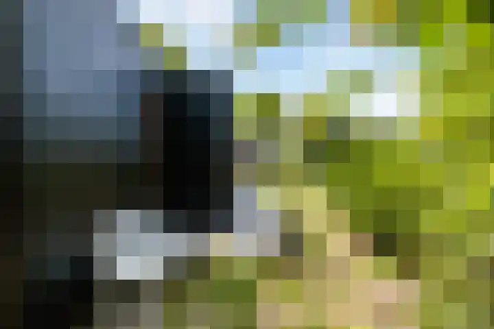 Klepperstee - Grote Stern 21 Ouddorp thumbnail 29