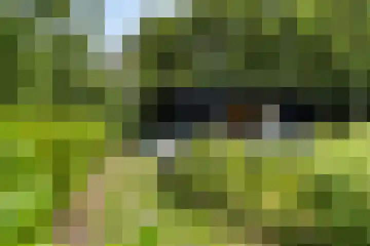 Klepperstee - Grote Stern 21 Ouddorp thumbnail 31