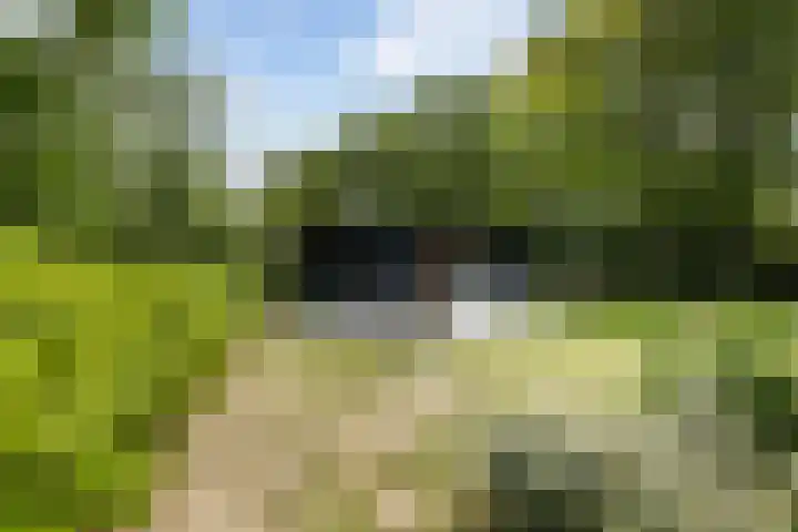 Klepperstee - Grote Stern 21 Ouddorp thumbnail 32