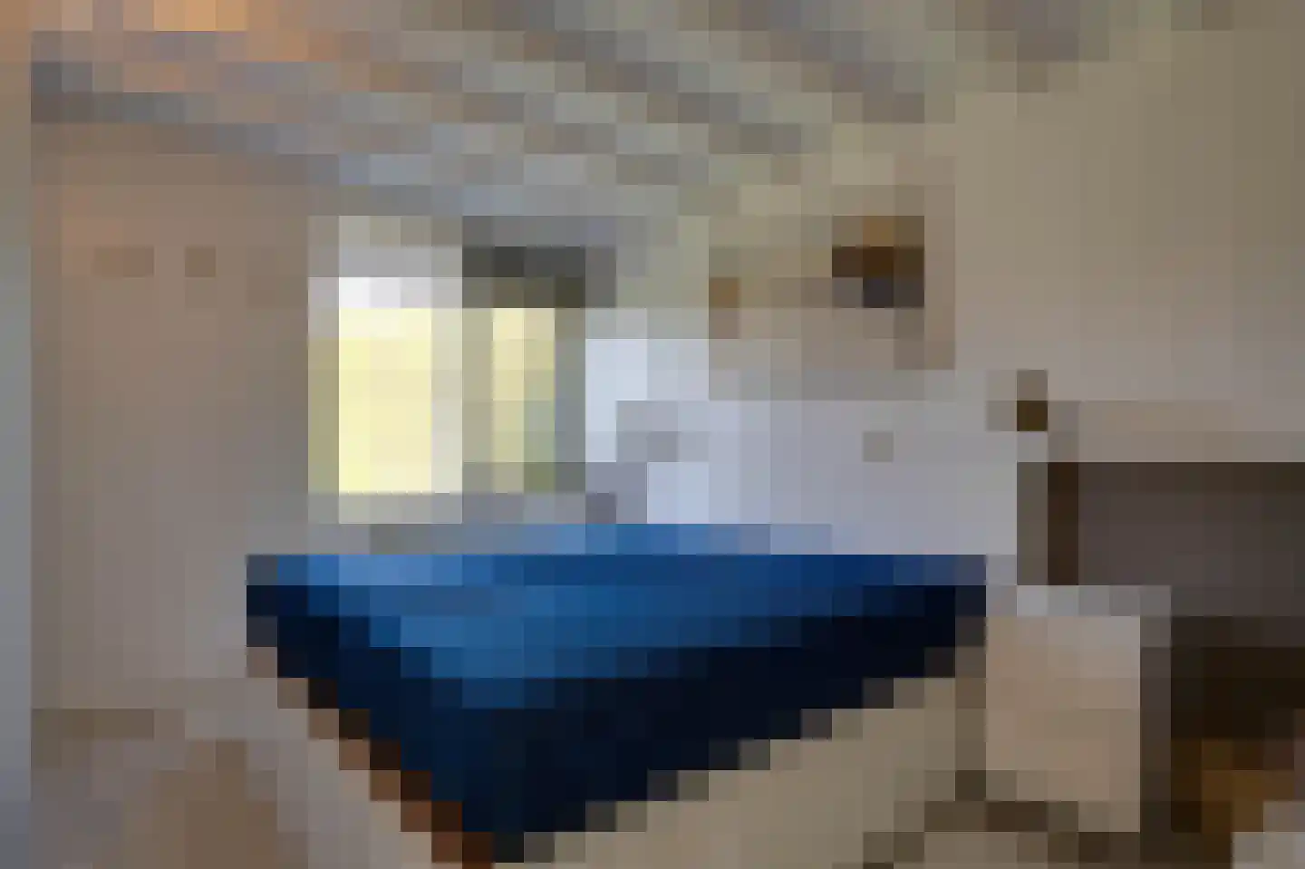 Klepperstee-Kastanje 14 Ouddorp thumbnail 12