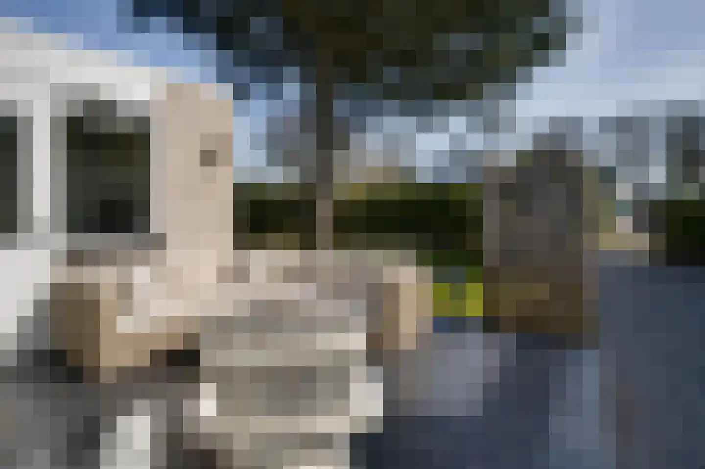 Klepperstee-Kastanje 14 Ouddorp thumbnail 14