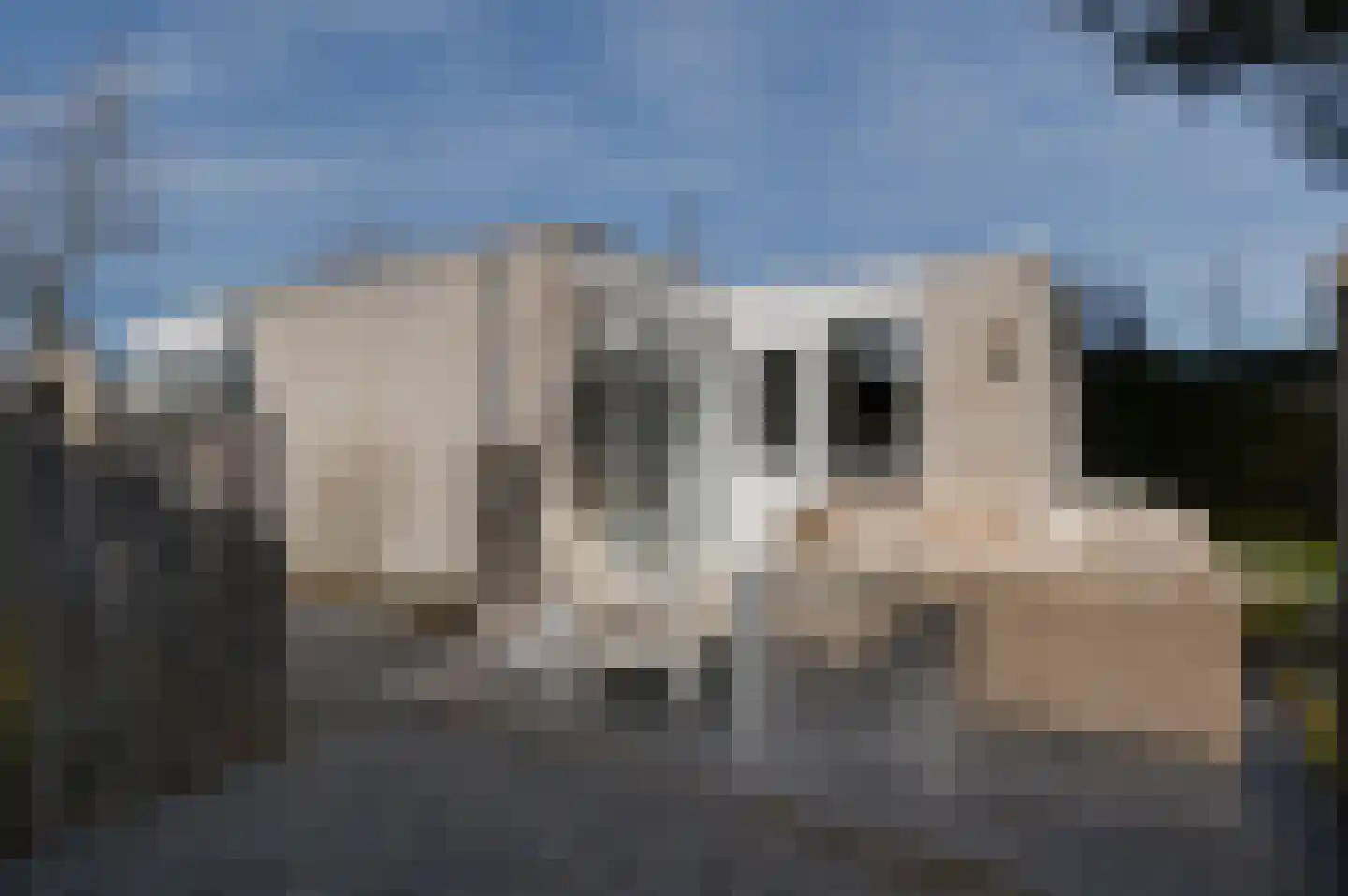 Klepperstee-Kastanje 14 Ouddorp thumbnail 15