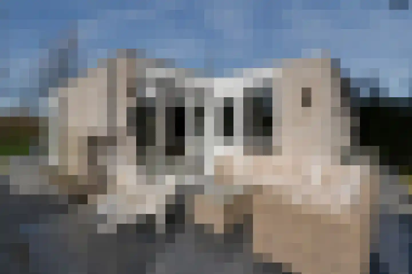 Klepperstee-Kastanje 14 Ouddorp thumbnail 16