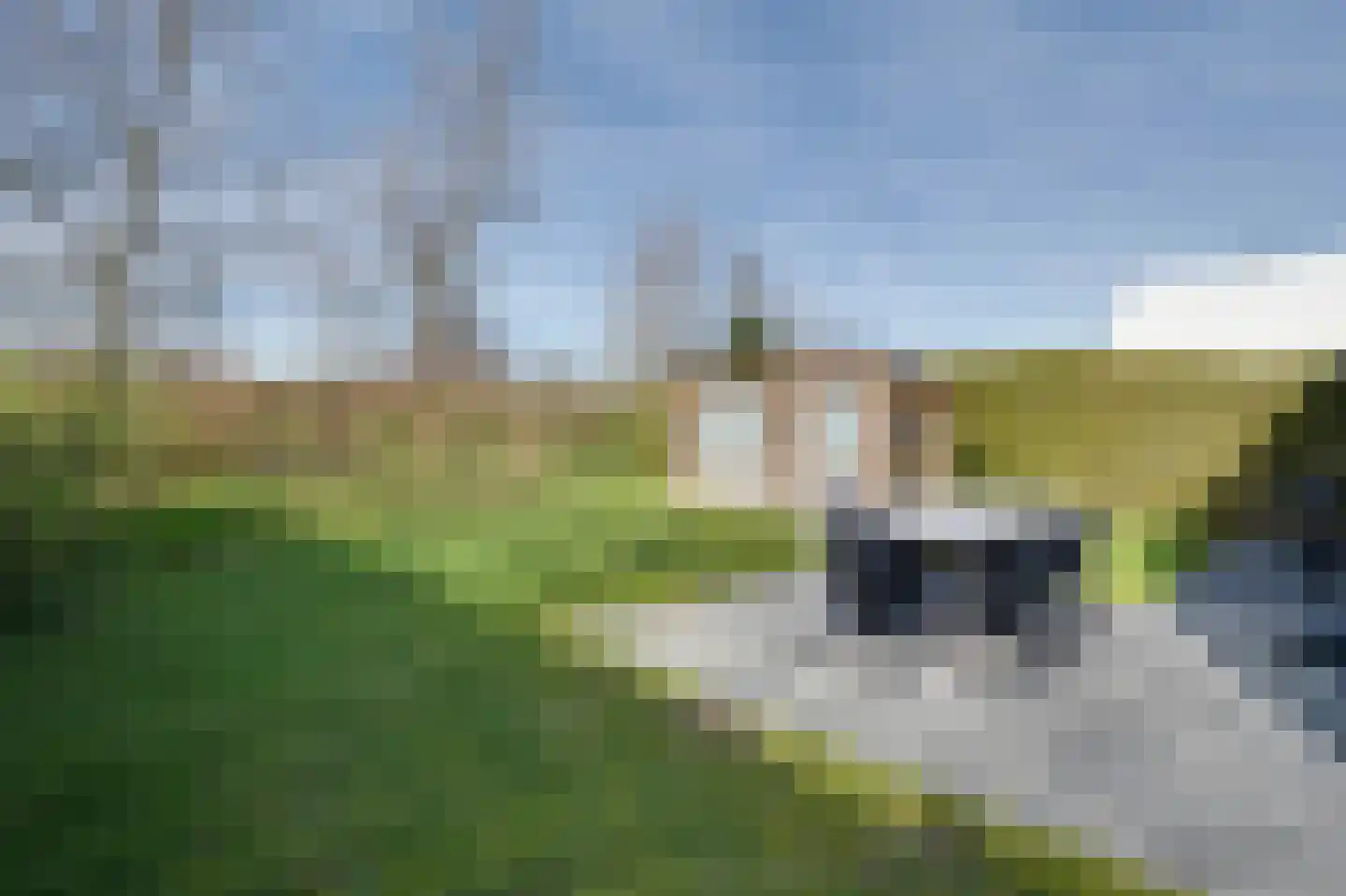 Klepperstee-Kastanje 14 Ouddorp thumbnail 17