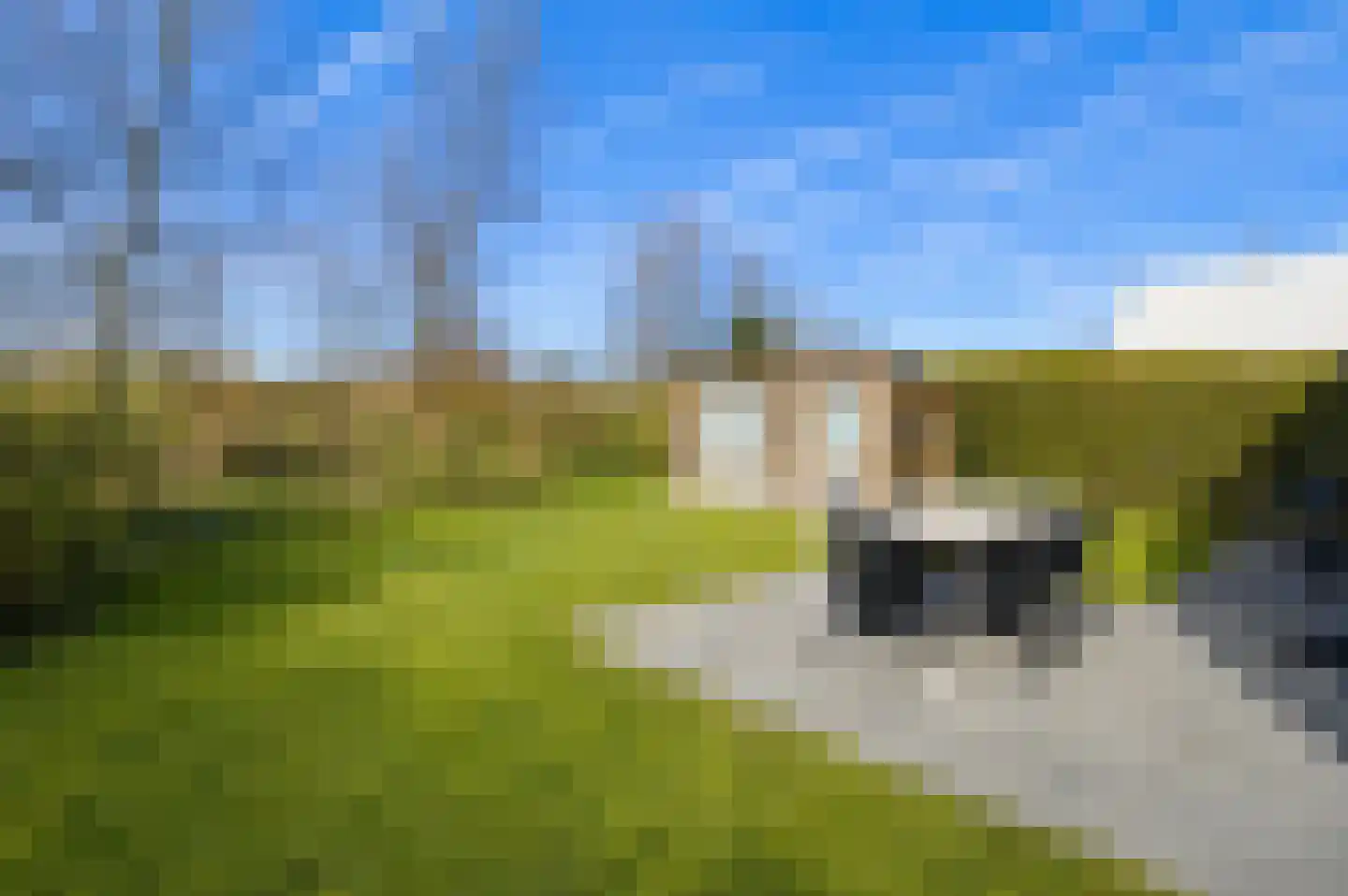 Klepperstee-Kastanje 14 Ouddorp thumbnail 18