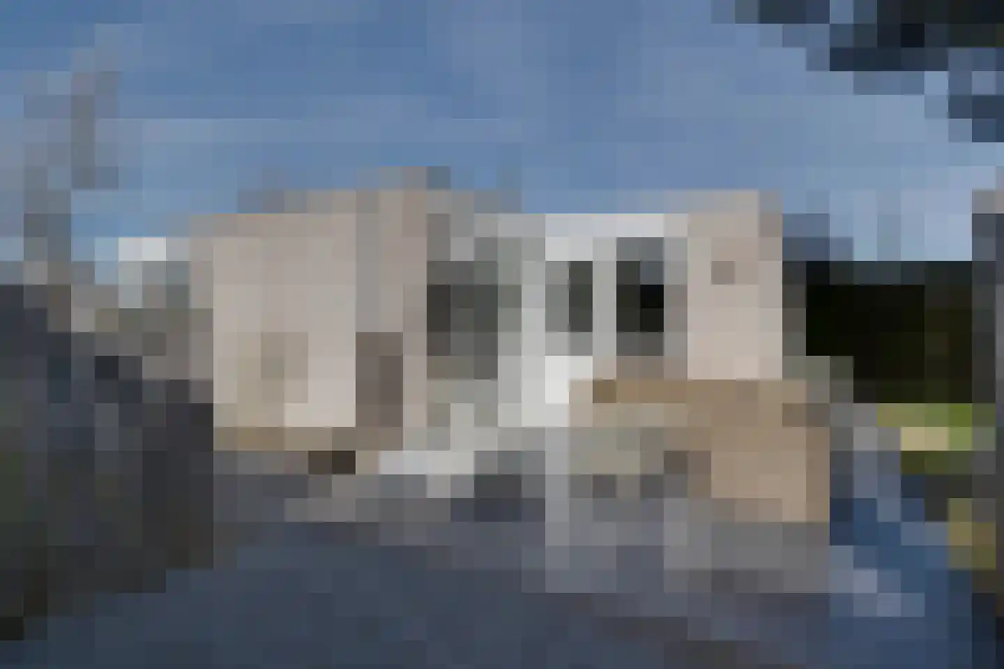 Klepperstee-Kastanje 14 Ouddorp thumbnail 19