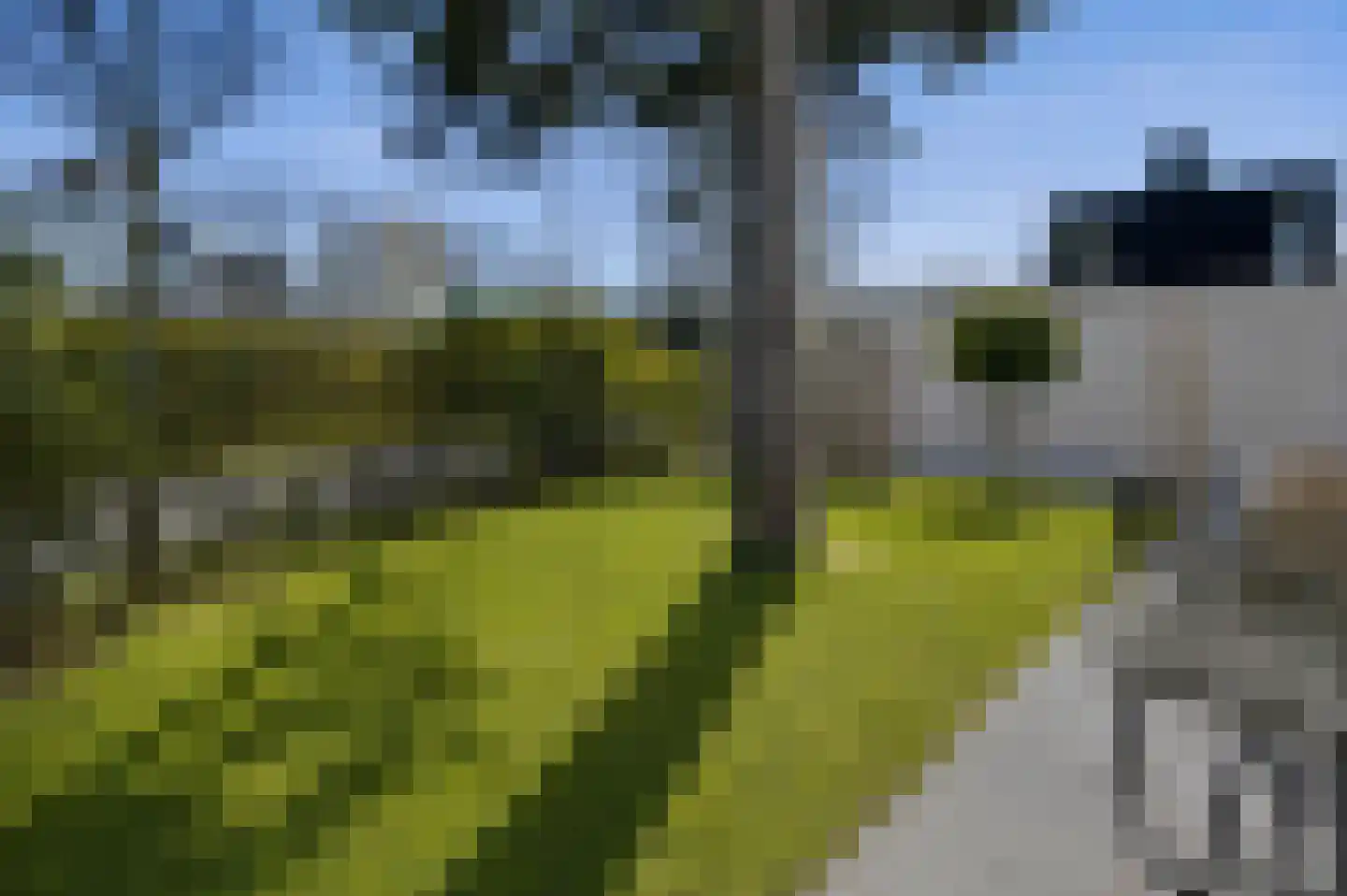 Klepperstee-Kastanje 14 Ouddorp thumbnail 19