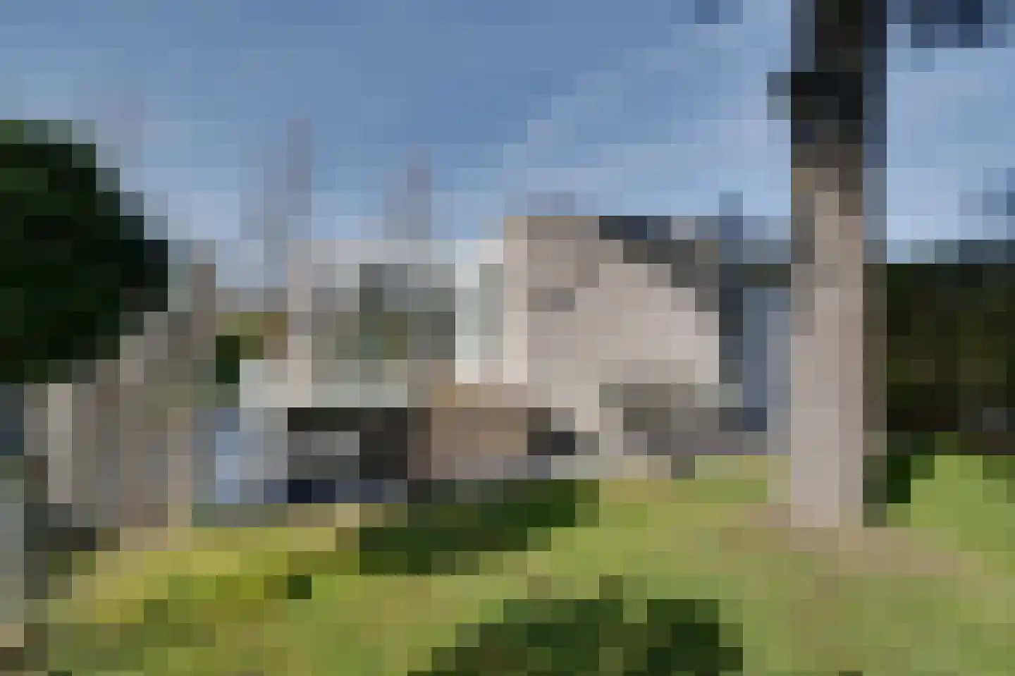 Klepperstee-Kastanje 14 Ouddorp thumbnail 20