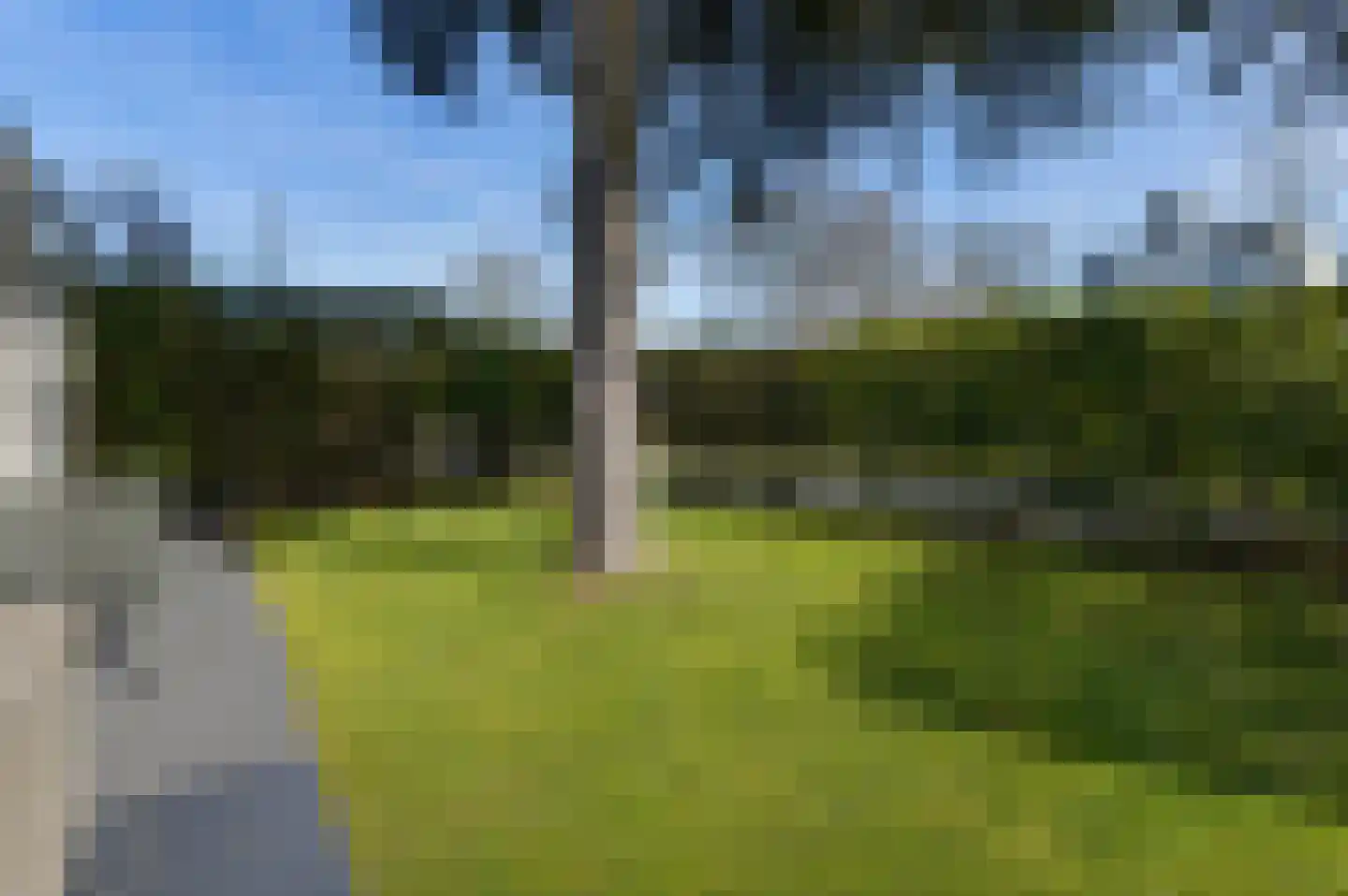 Klepperstee-Kastanje 14 Ouddorp thumbnail 20