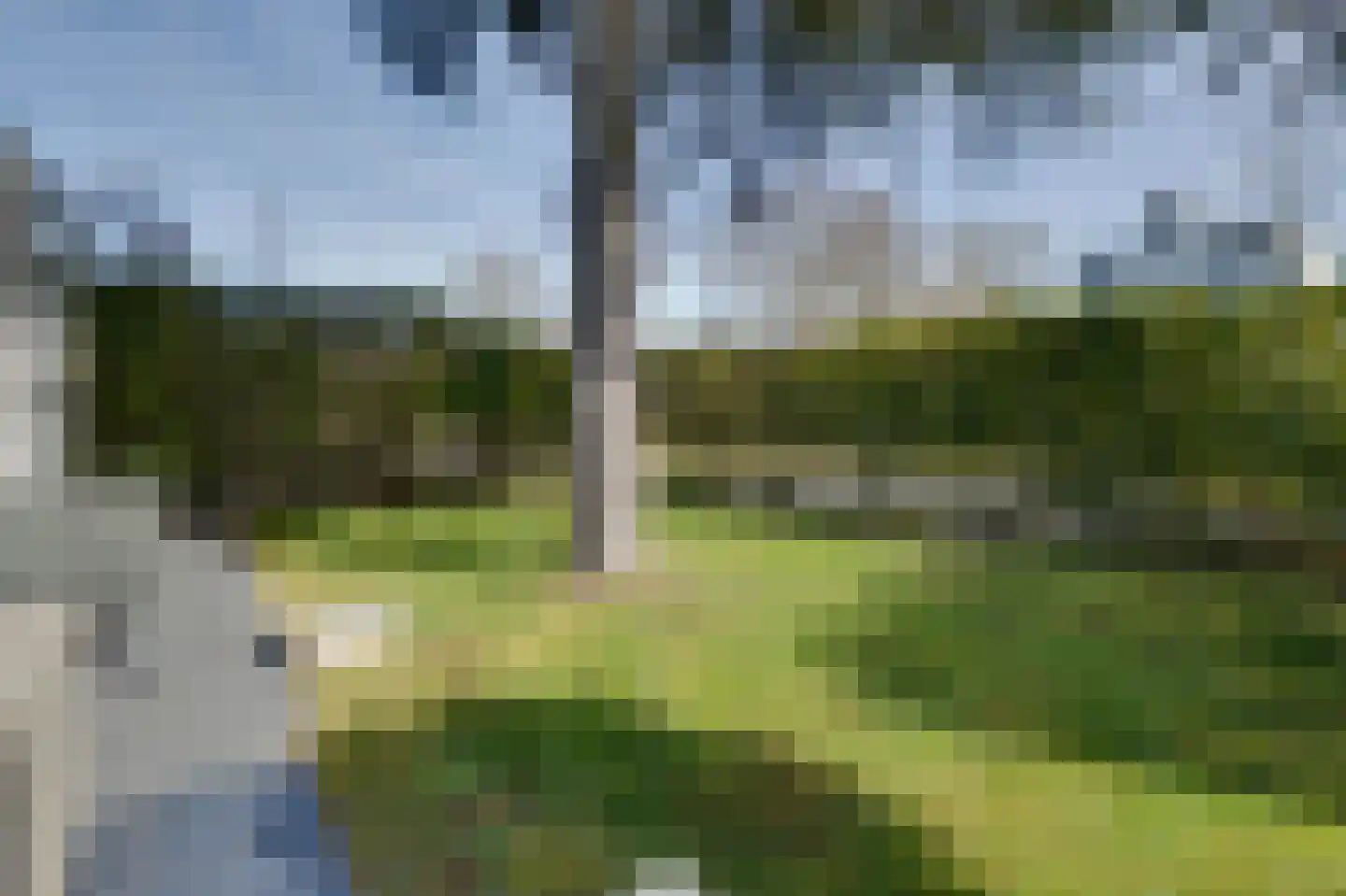 Klepperstee-Kastanje 14 Ouddorp thumbnail 21