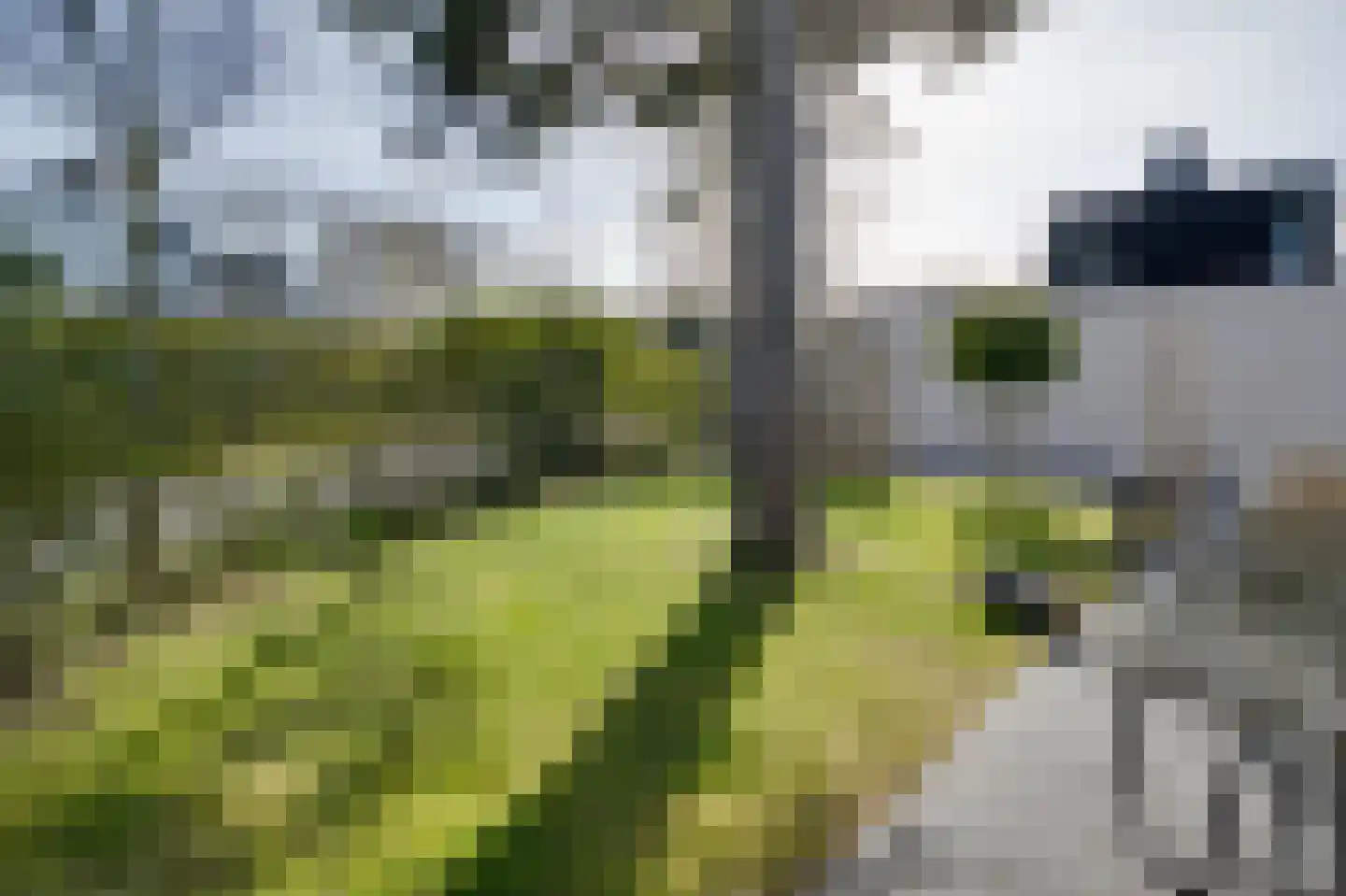 Klepperstee-Kastanje 14 Ouddorp thumbnail 22