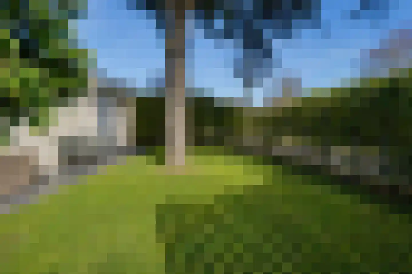 Klepperstee-Kastanje 14 Ouddorp thumbnail 22