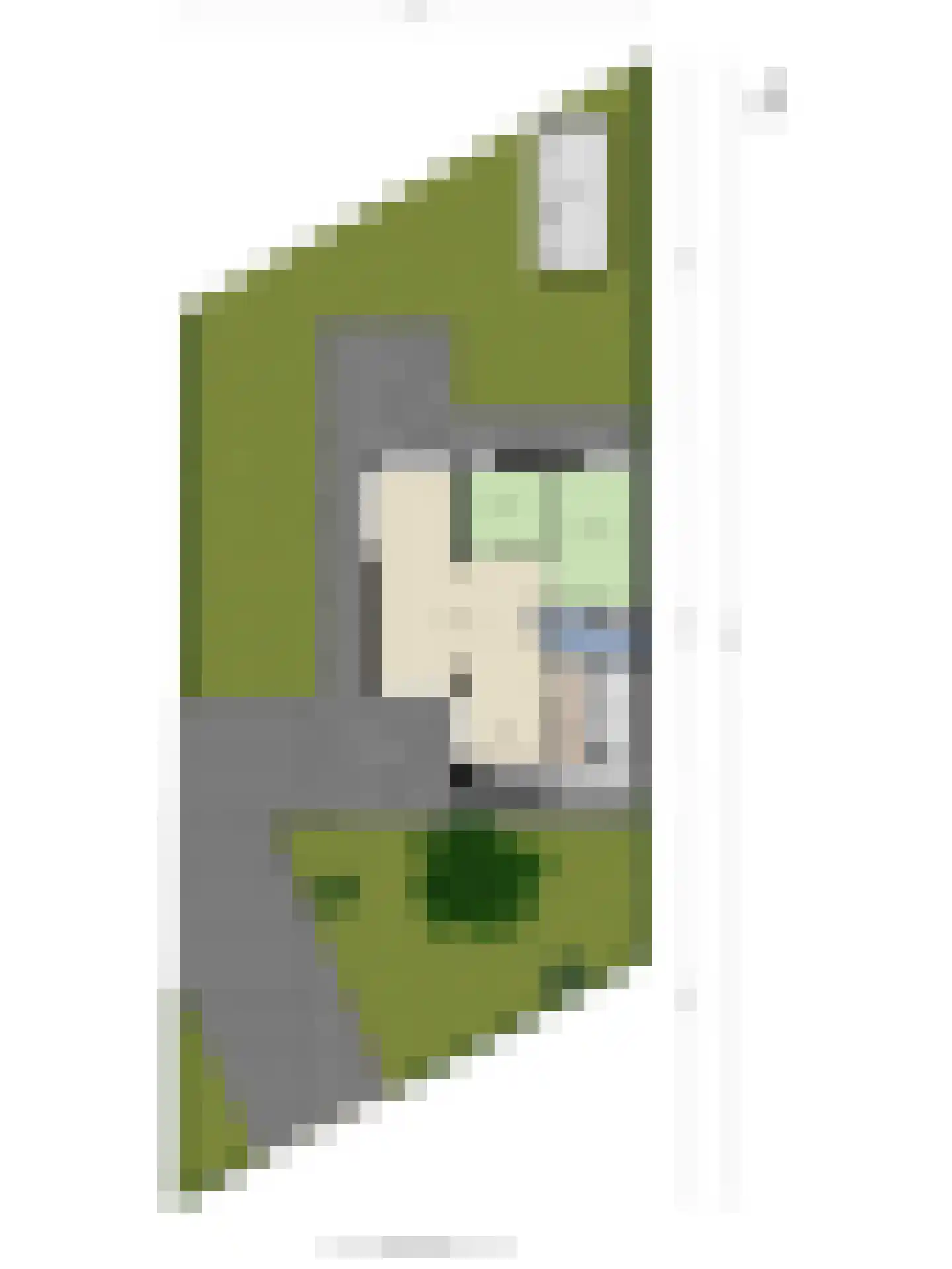 Klepperstee-Kastanje 14 Ouddorp thumbnail 26