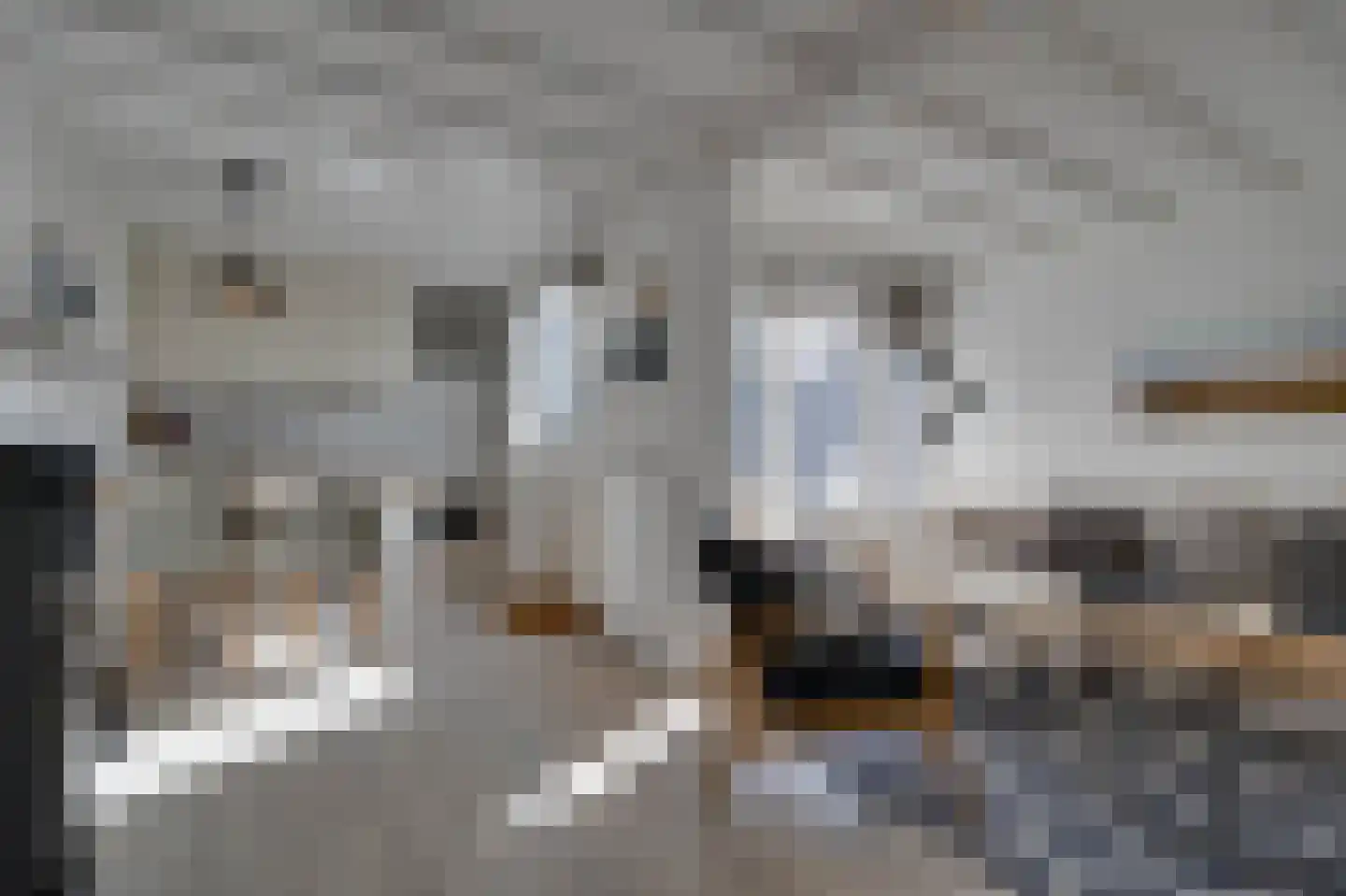 Klepperstee-Kastanje 14 Ouddorp thumbnail 4