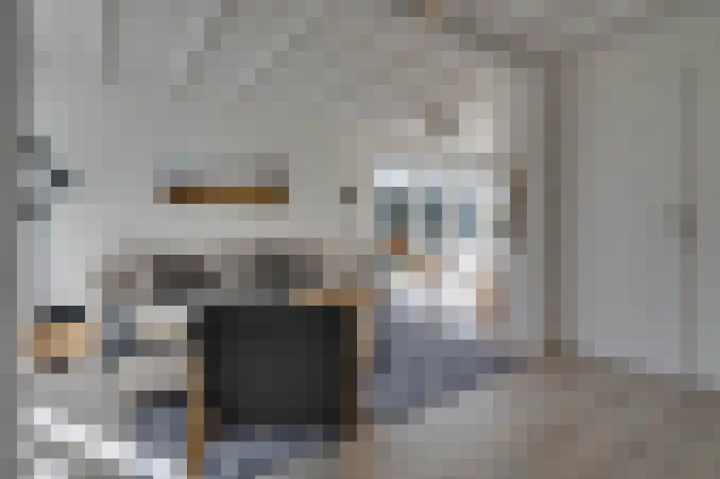 Klepperstee-Kastanje 14 Ouddorp thumbnail 7