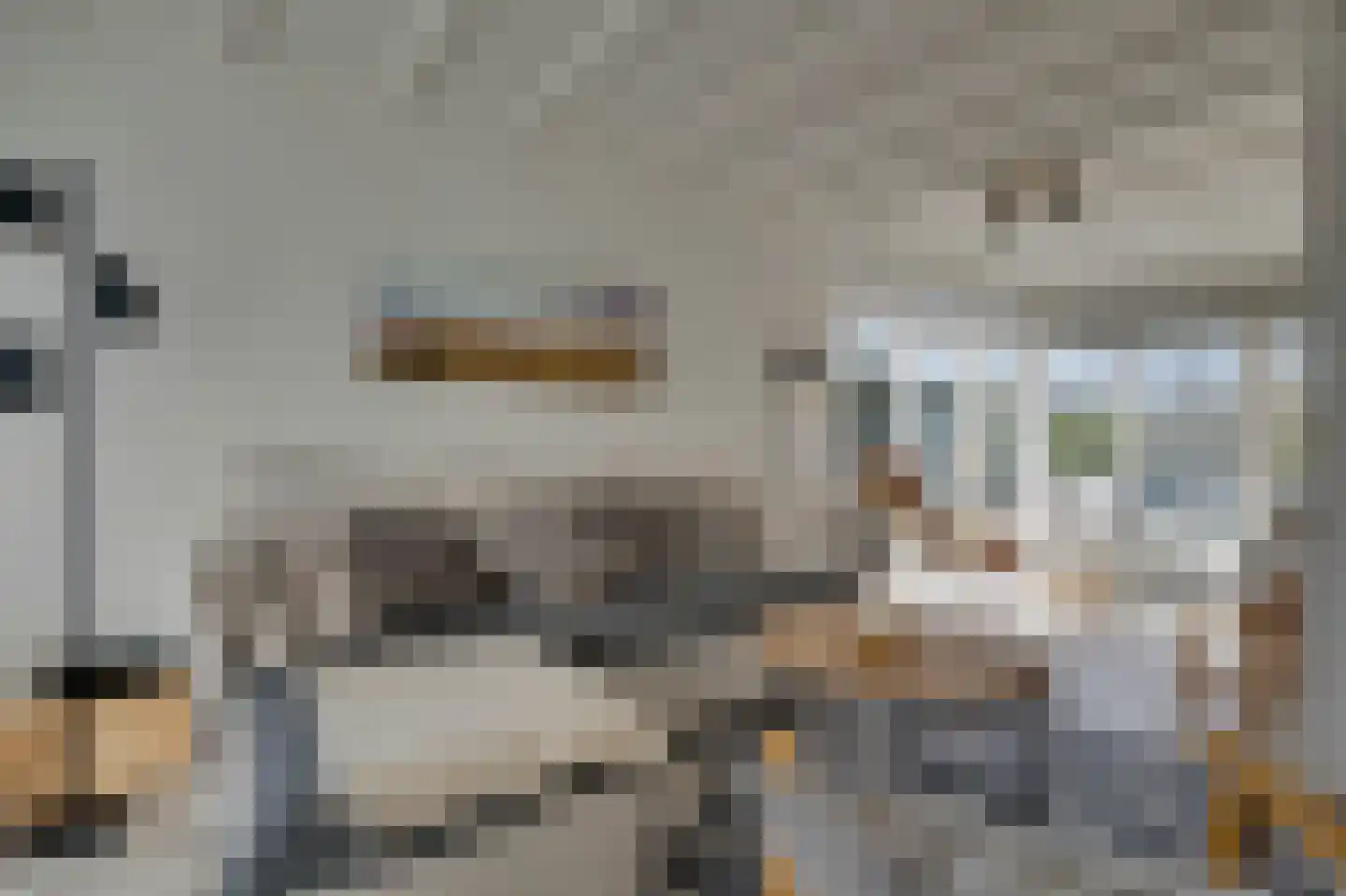 Klepperstee-Kastanje 14 Ouddorp thumbnail 8