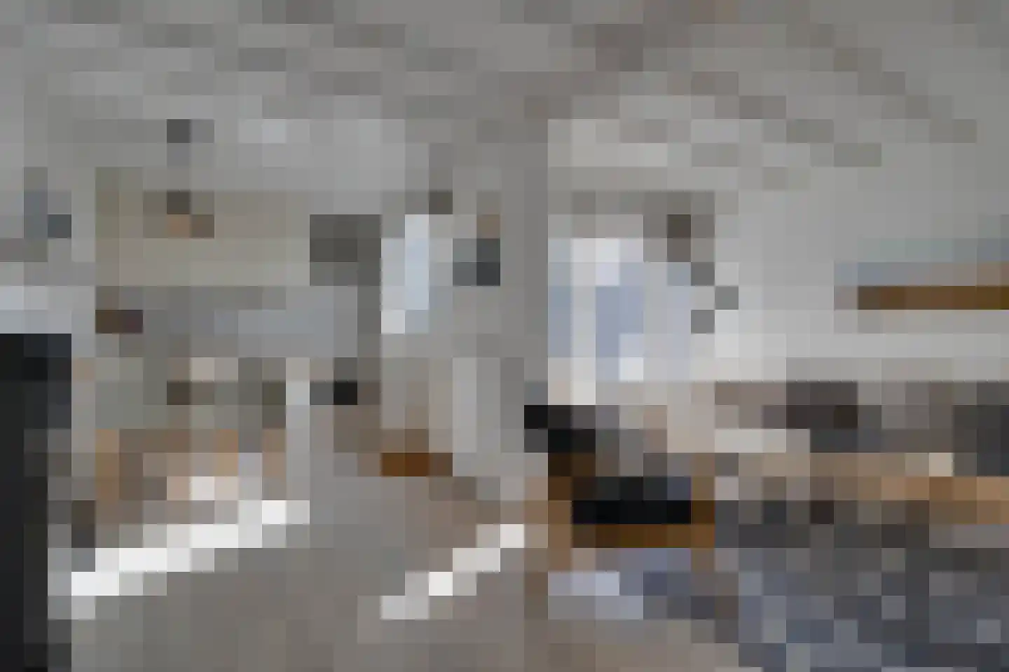 Klepperstee-Kastanje 14 Ouddorp thumbnail 9