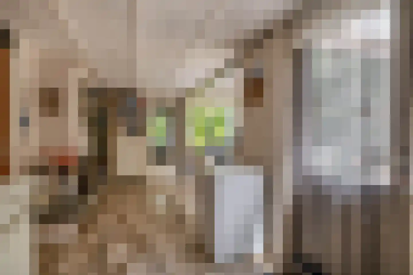 Klepperstee-Kastanje 20 Ouddorp thumbnail 11