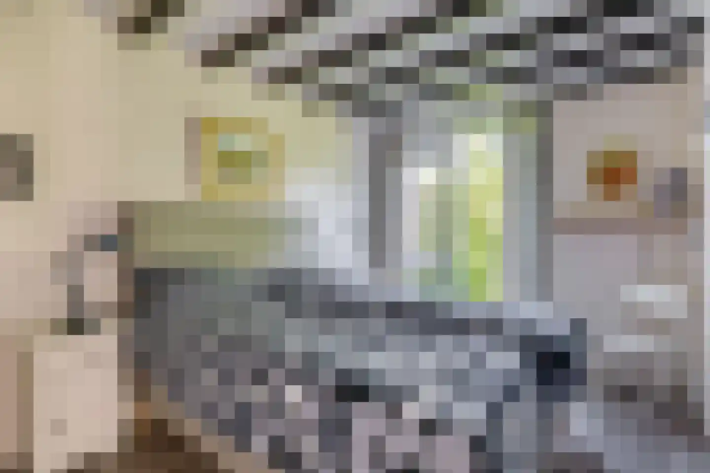 Klepperstee-Kastanje 20 Ouddorp thumbnail 13