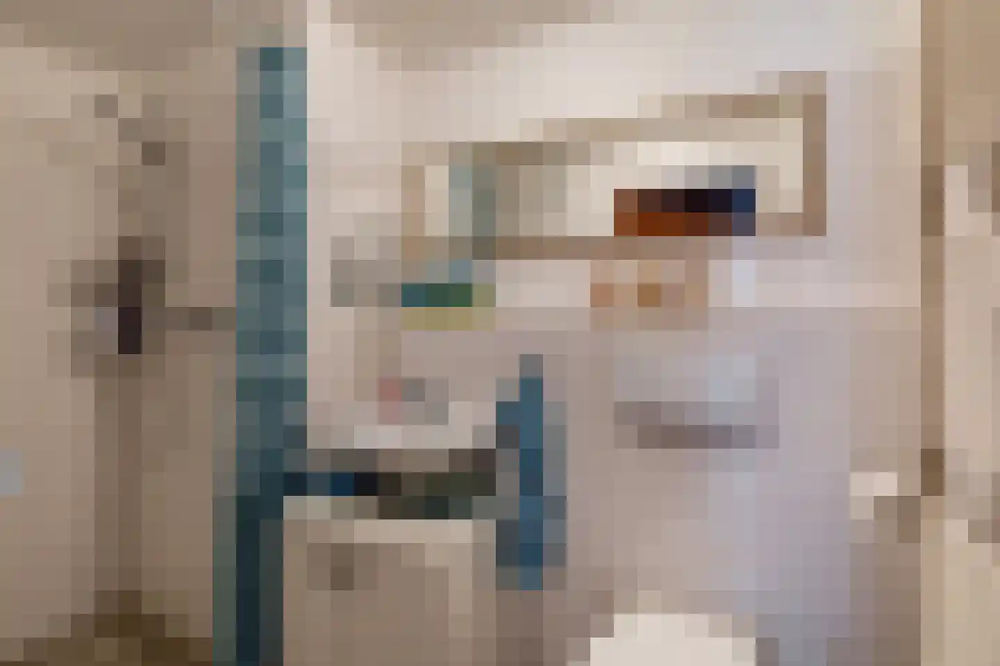 Klepperstee-Kastanje 20 Ouddorp thumbnail 14