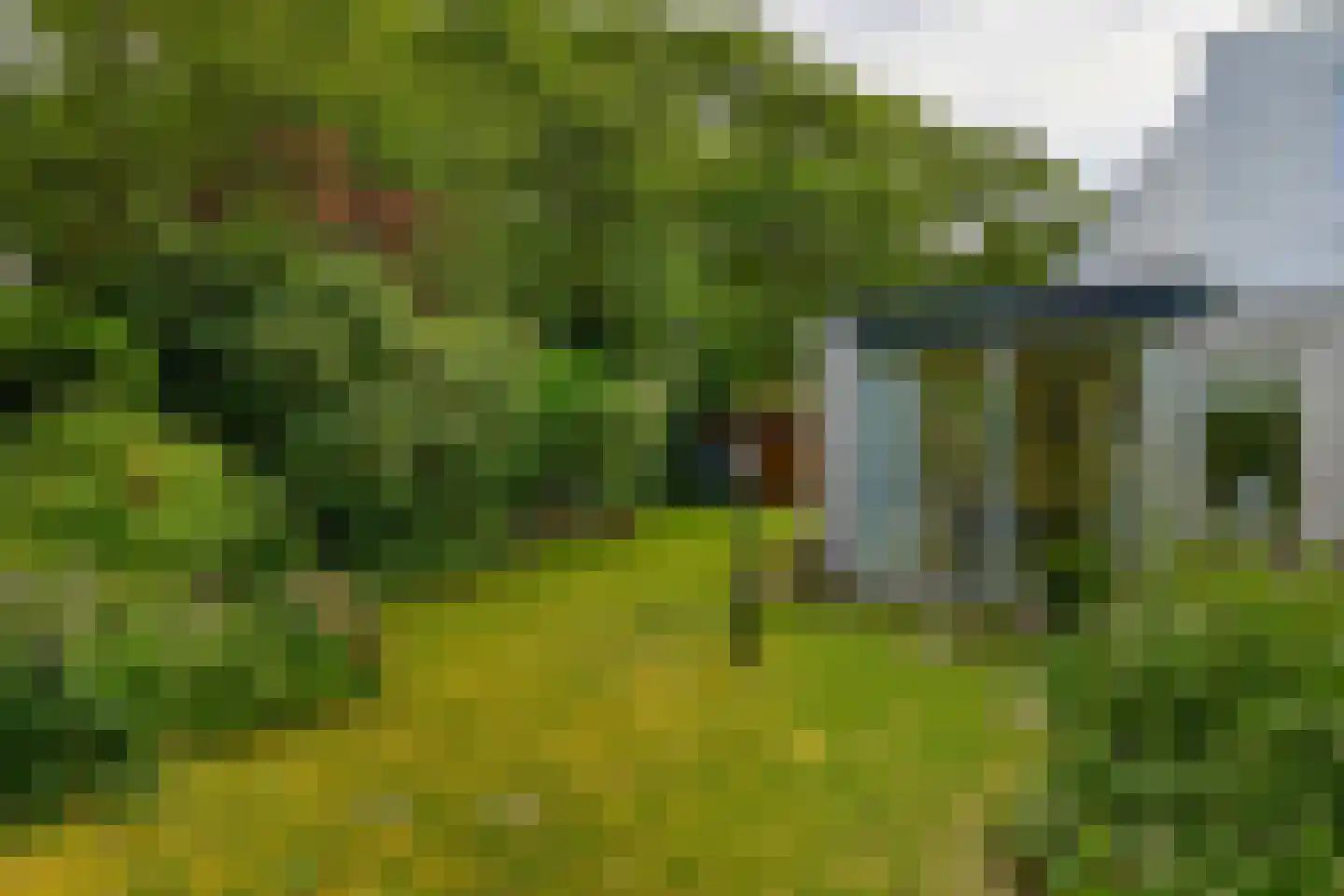 Klepperstee-Kastanje 20 Ouddorp thumbnail 28