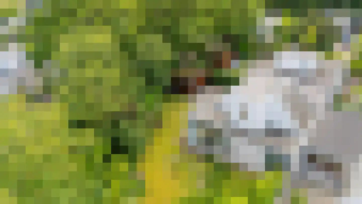 Klepperstee-Kastanje 20 Ouddorp thumbnail 34