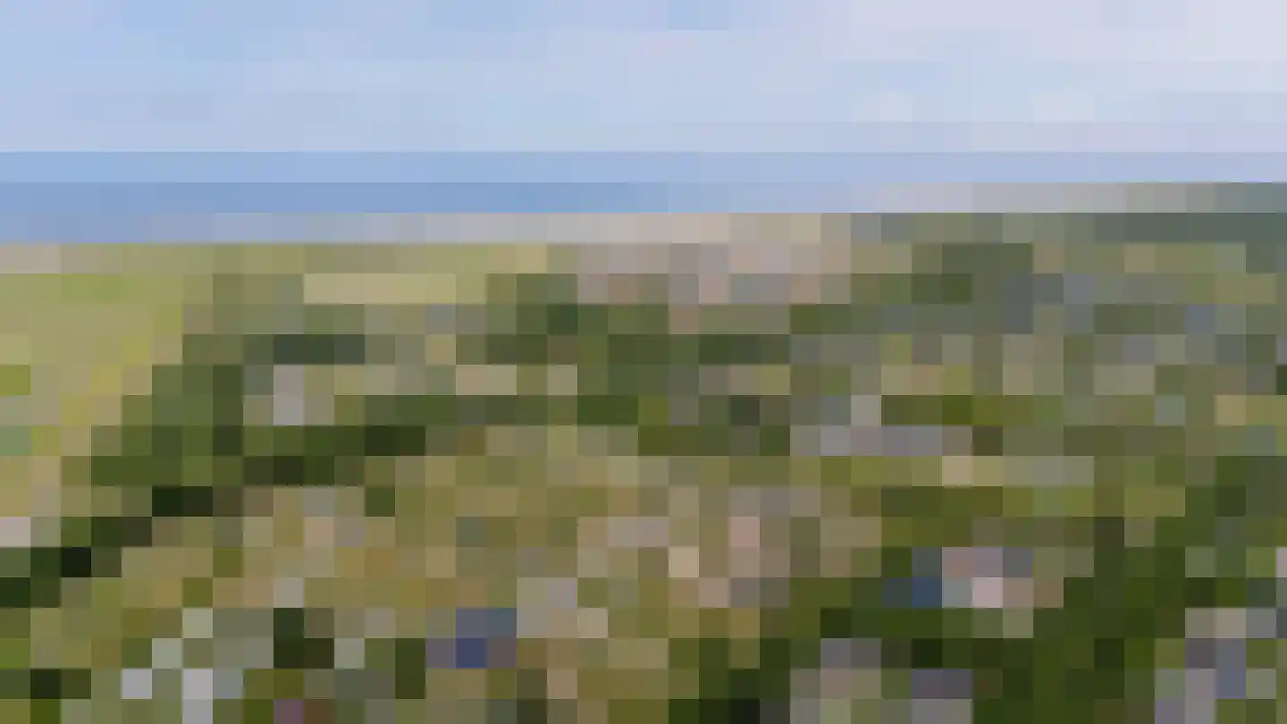 Klepperstee-Kastanje 20 Ouddorp thumbnail 37