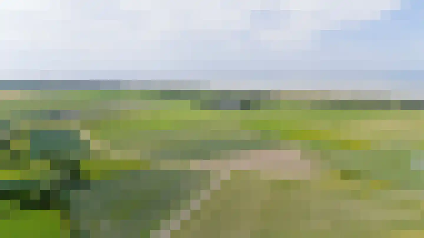 Klepperstee-Kastanje 20 Ouddorp thumbnail 43