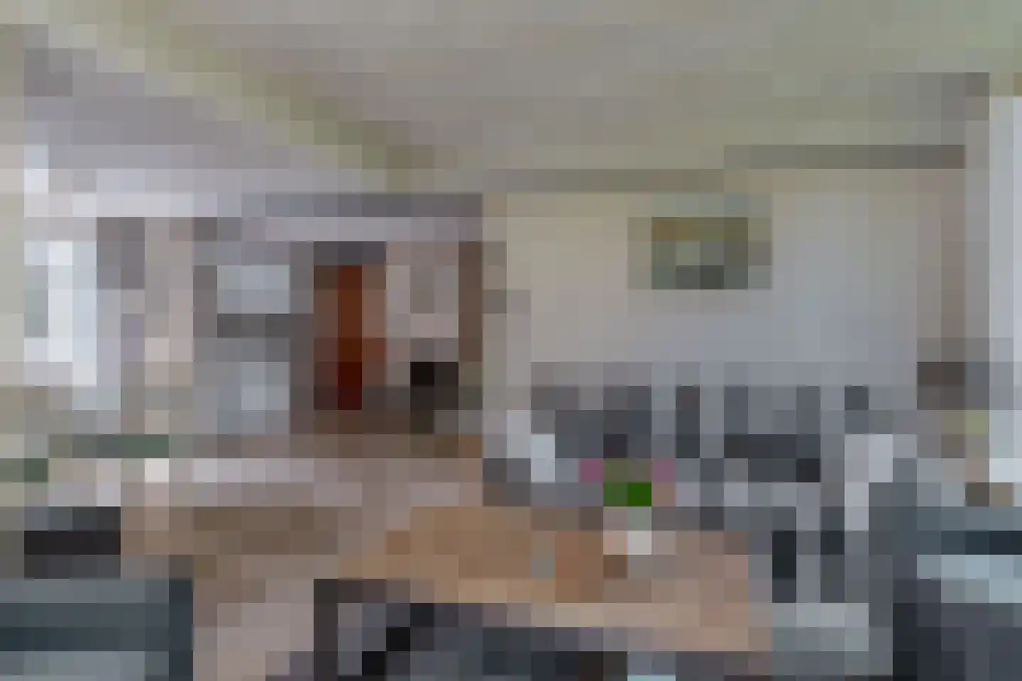 Klepperstee-Kastanje 20 Ouddorp thumbnail 5