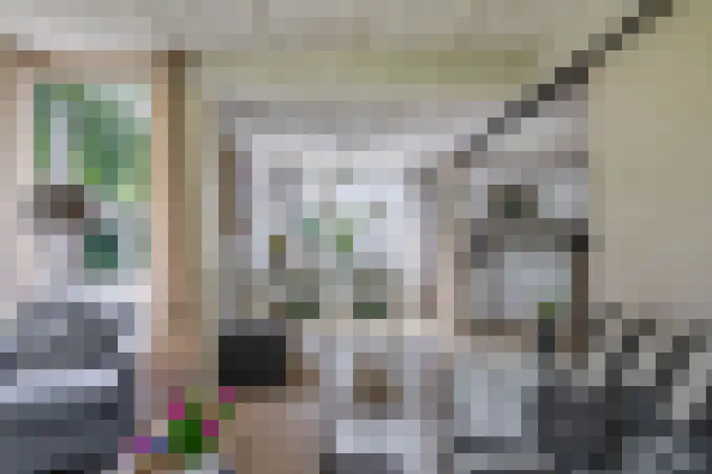 Klepperstee-Kastanje 20 Ouddorp thumbnail 7