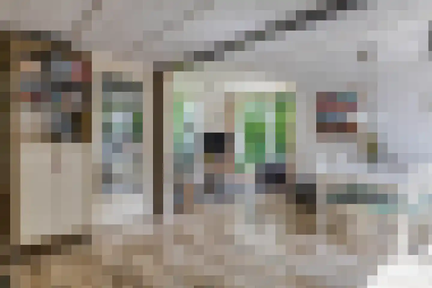 Klepperstee-Kastanje 20 Ouddorp thumbnail 8