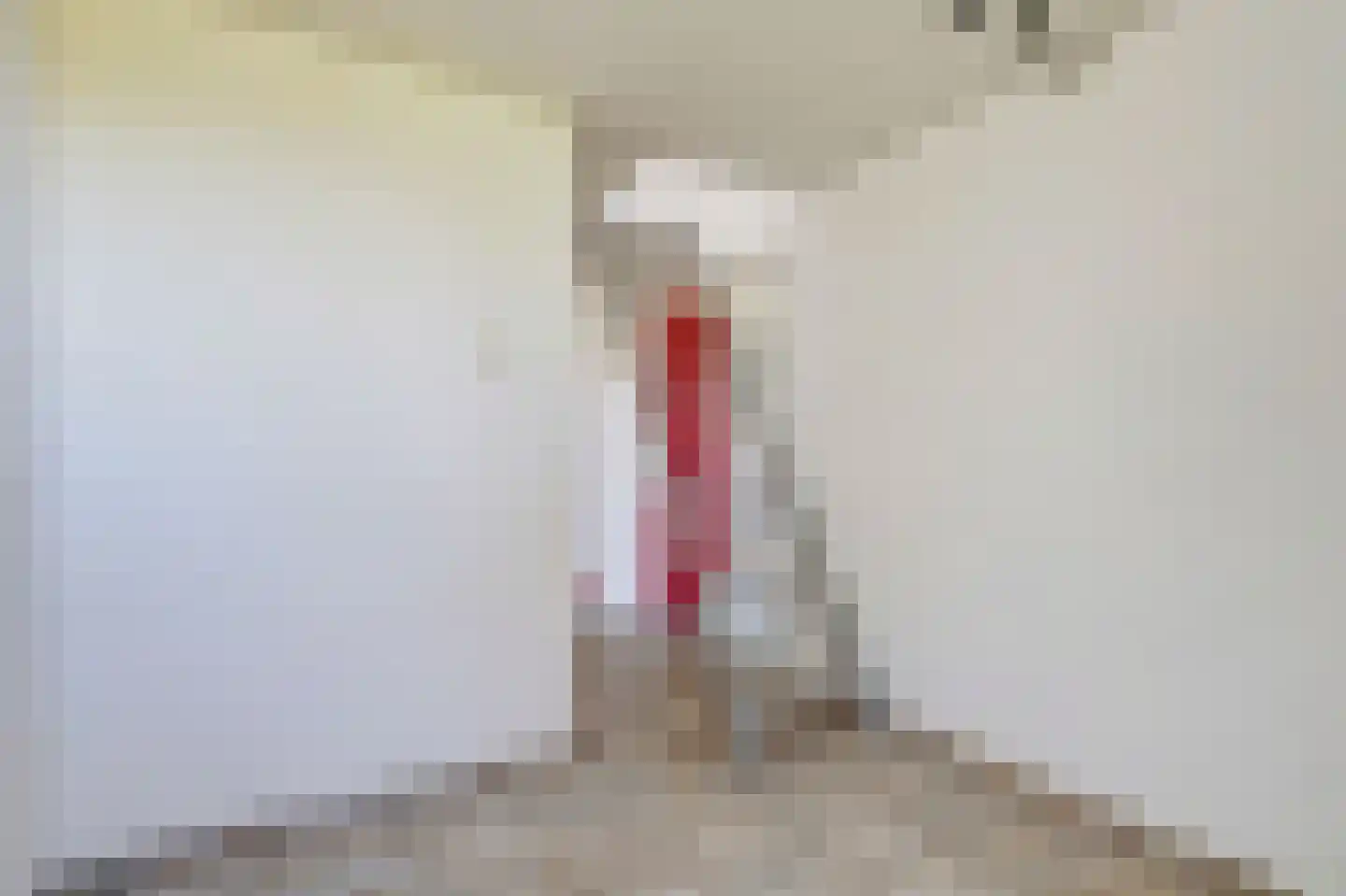 Klepperstee-Kastanje 21 Ouddorp thumbnail 22