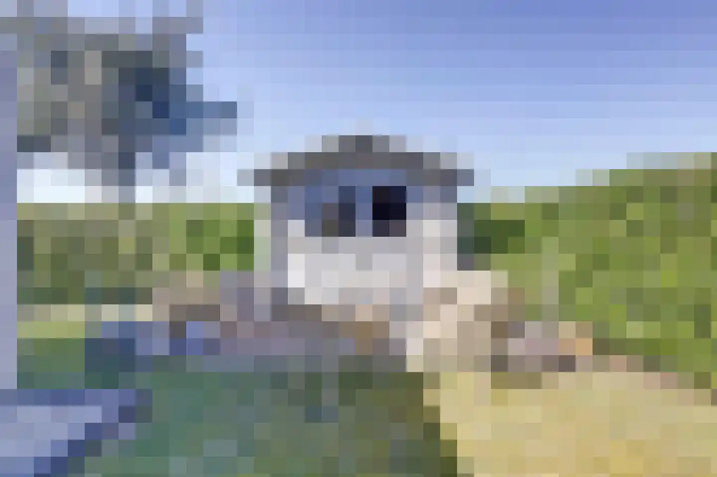 Klepperstee-Kastanje 21 Ouddorp thumbnail 28