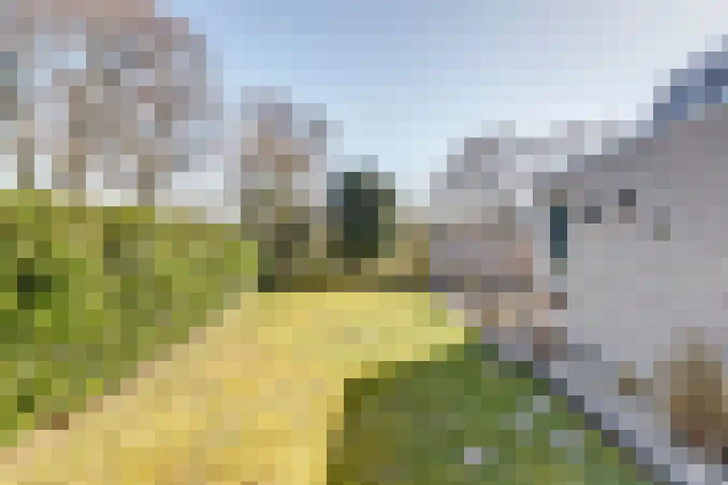 Klepperstee-Kastanje 21 Ouddorp thumbnail 31