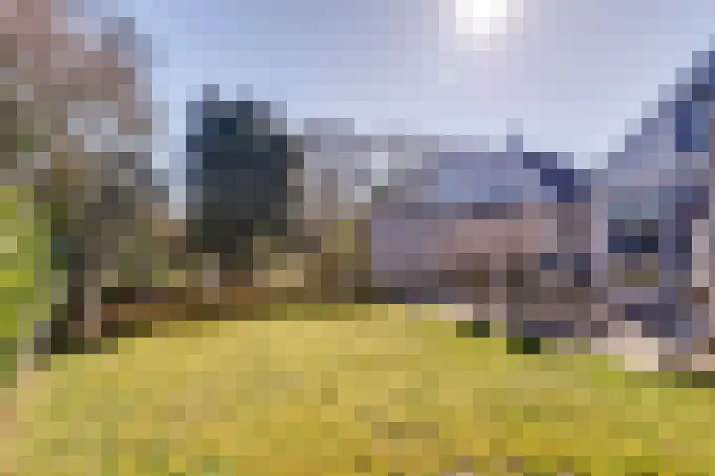 Klepperstee-Kastanje 21 Ouddorp thumbnail 33