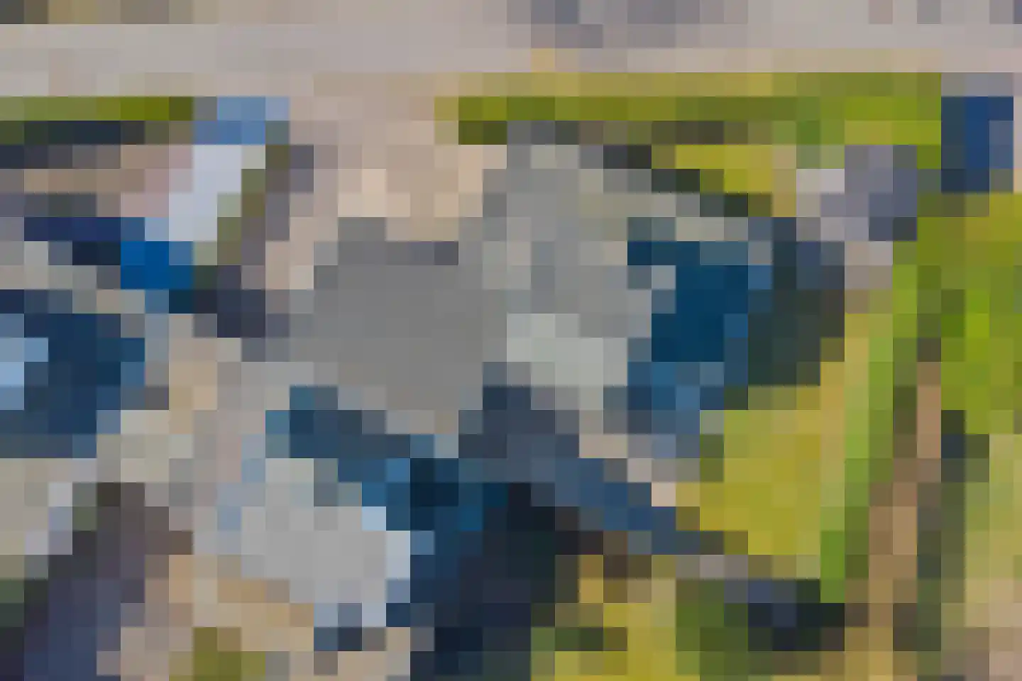Klepperstee-Kastanje 21 Ouddorp thumbnail 35