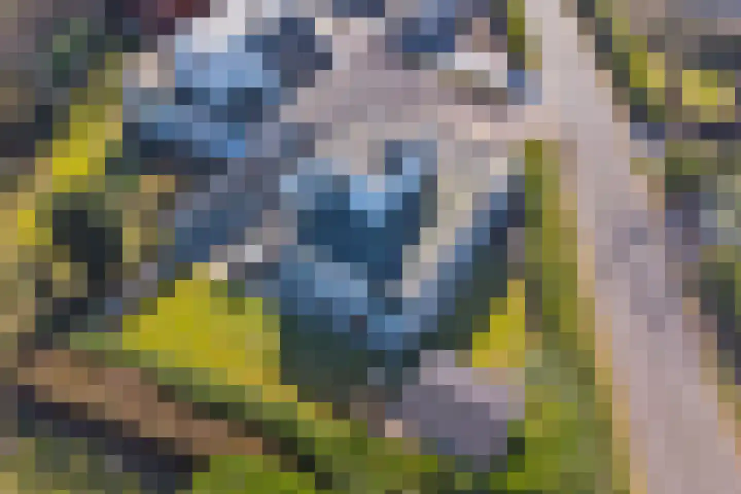Klepperstee-Kastanje 21 Ouddorp thumbnail 37