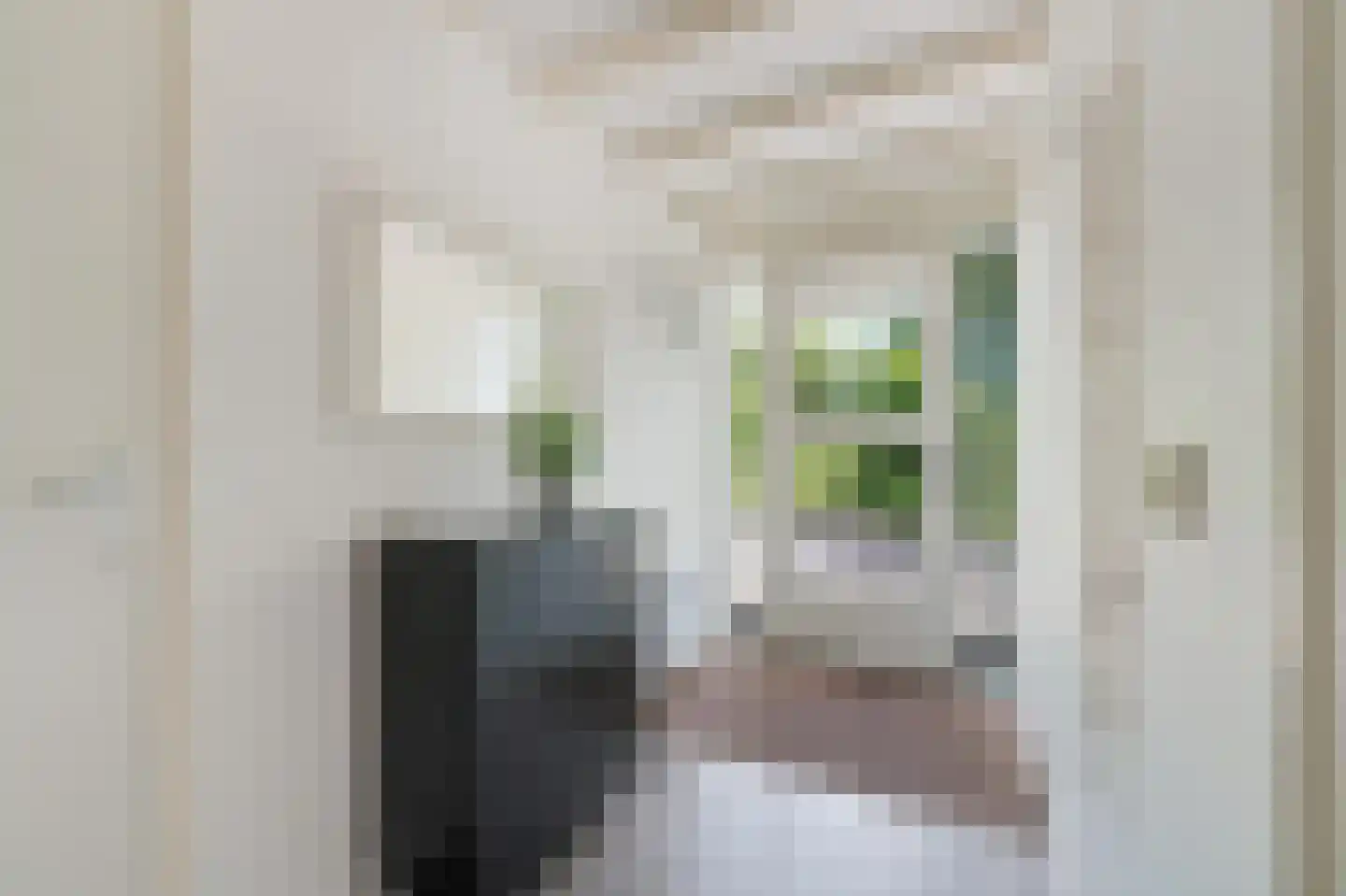 Klepperstee-Kastanje 3 Ouddorp thumbnail 13