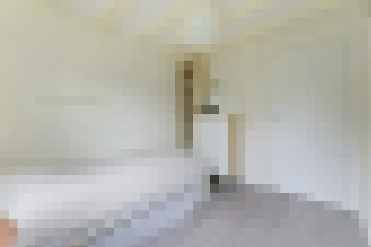 Klepperstee-Kastanje 3 Ouddorp thumbnail 18