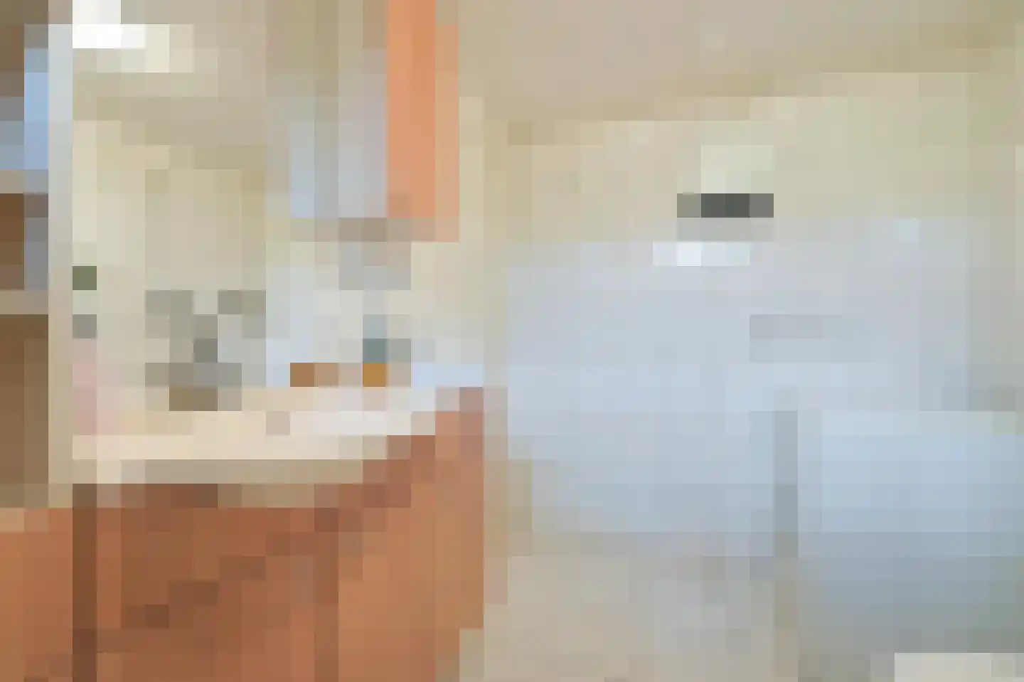 Klepperstee-Kastanje 3 Ouddorp thumbnail 19