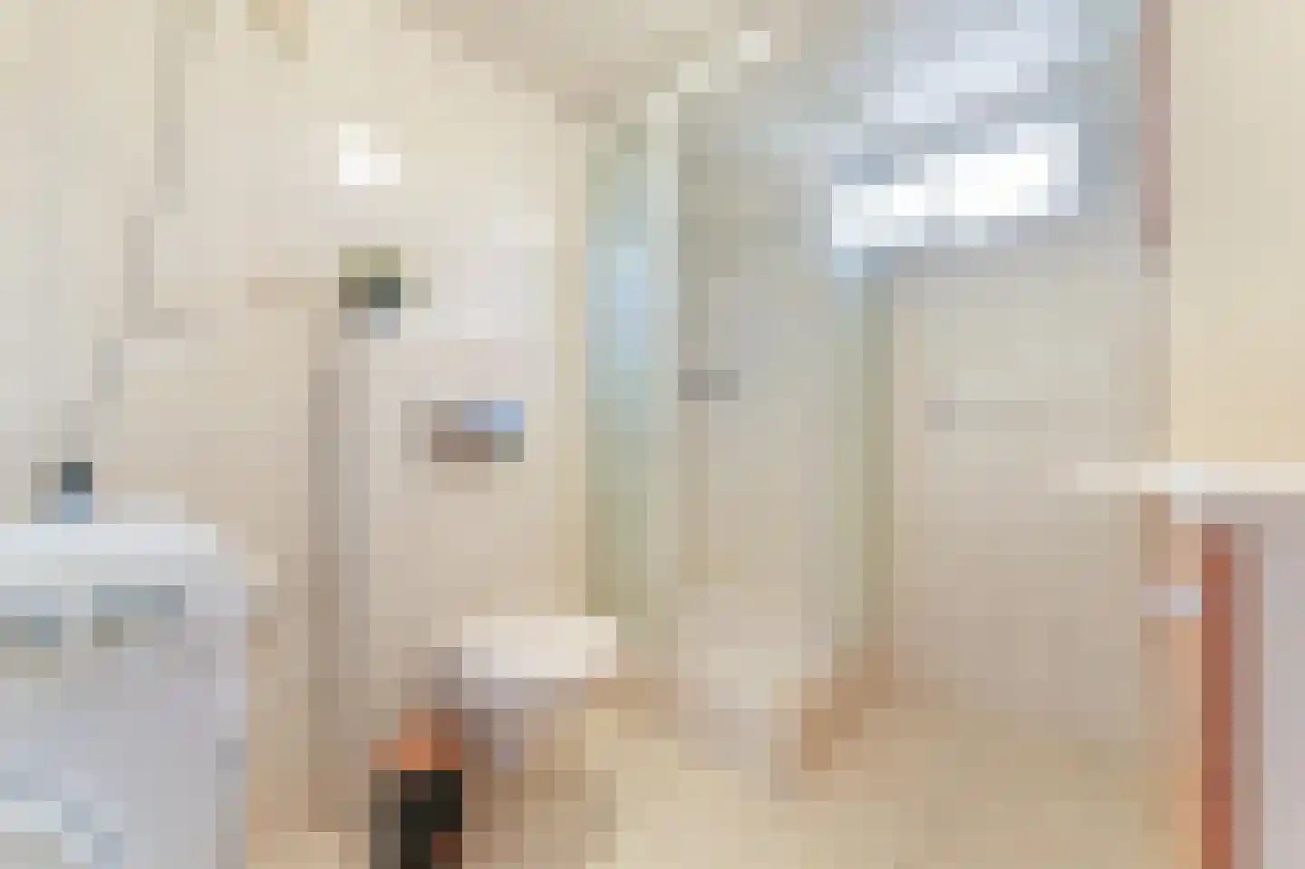 Klepperstee-Kastanje 3 Ouddorp thumbnail 22
