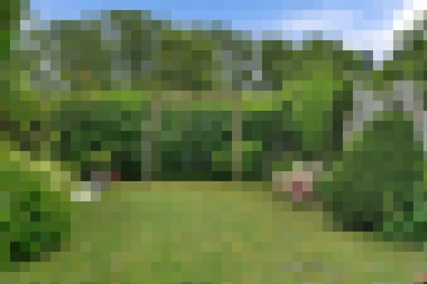 Klepperstee-Kastanje 3 Ouddorp thumbnail 23