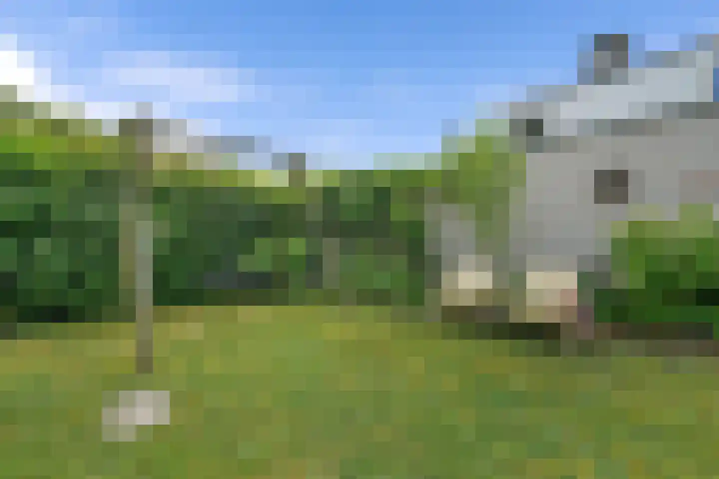 Klepperstee-Kastanje 3 Ouddorp thumbnail 24
