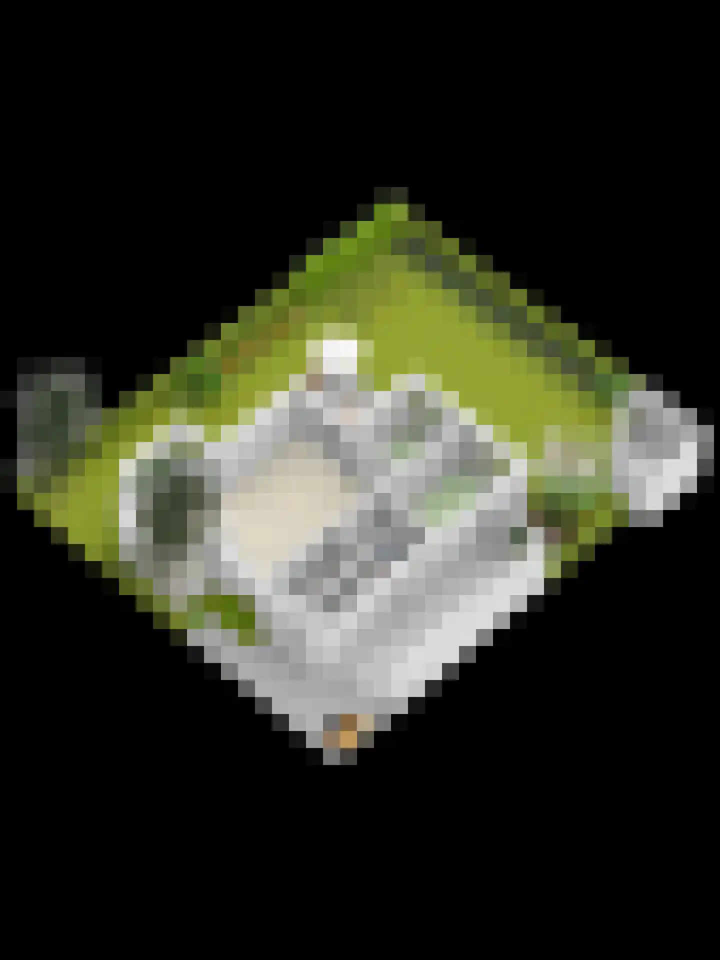 Klepperstee-Kastanje 3 Ouddorp thumbnail 31