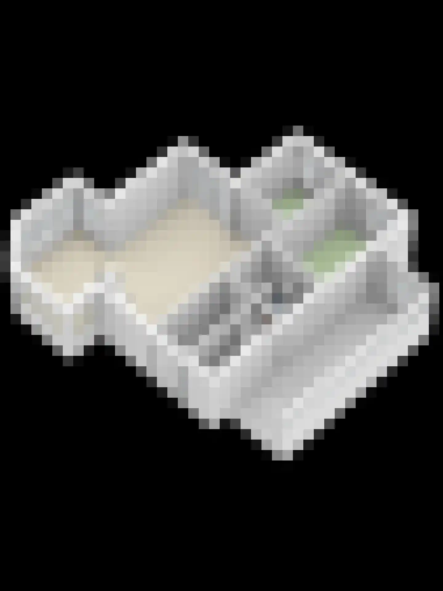 Klepperstee-Kastanje 3 Ouddorp thumbnail 32