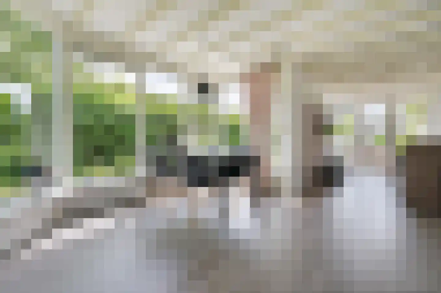 Klepperstee-Kastanje 3 Ouddorp thumbnail 4
